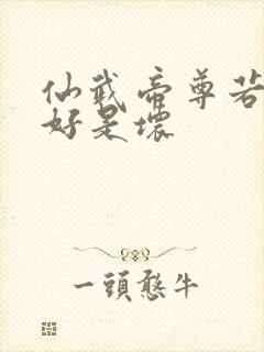 仙武帝尊若曦是好是坏