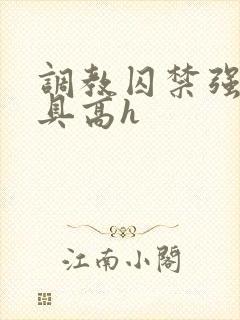 调教囚禁强迫道具高h封面