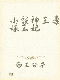 小说神王毒宠二嫁王妃封面