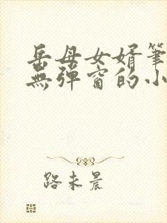 岳母女婿笔趣阁无弹窗的小说