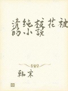 清纯校花被调教的小说