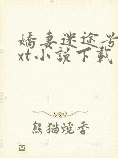 娇妻迷途兮夜txt小说下载封面