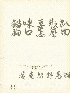 猫咪喜欢趴主人胸口怎么回事封面