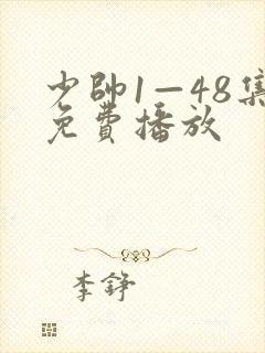 少帅1—48集免费播放