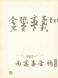 全职高手txt免费下载