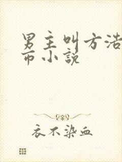 男主叫方浩的都市小说