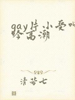 gay片小受呻吟高潮