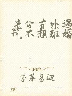 老公有外遇咋办我不想离婚封面