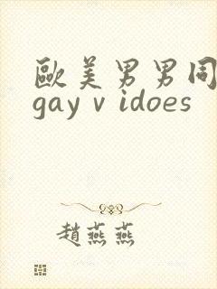 欧美男男同性恋gayⅴidoes