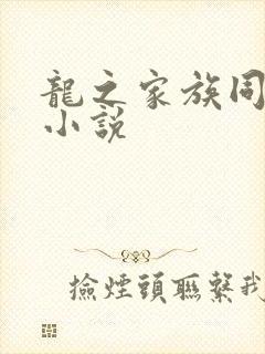 龙之家族同人文小说