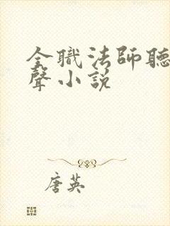 全职法师听书有声小说