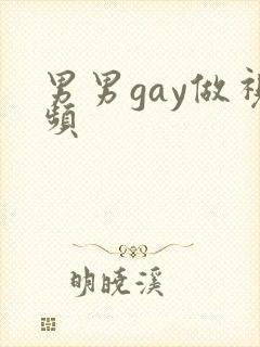 男男gay做视频