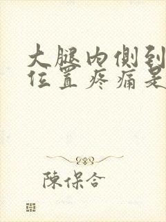 大腿内侧到膝盖位置疼痛是什么原因封面