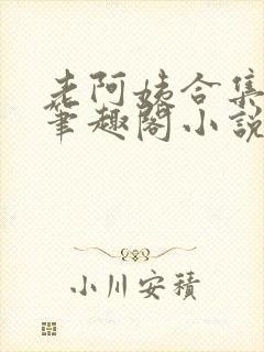 老阿姨合集大概笔趣阁小说