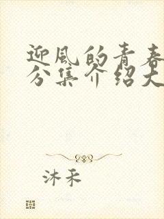 迎风的青春剧情分集介绍大结局