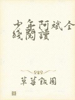 少年阿斌全文在线阅读封面