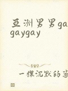 亚洲男男gaygaygay封面