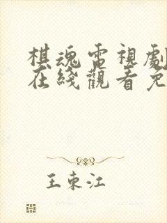 棋魂电视剧全集在线观看免费播放