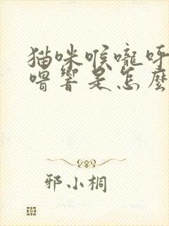 猫咪喉咙呼噜呼噜响是怎么回事