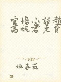 官场小说赵心媚高婉君免费阅读