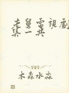 老舅电视剧多少集一共