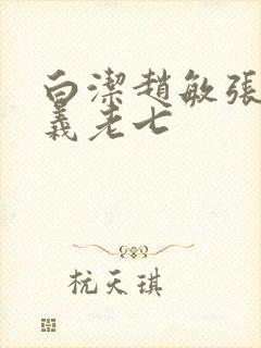 白洁赵敏张倩高义老七封面