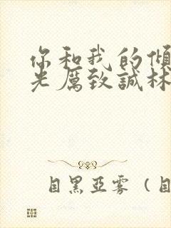 你和我的倾城时光厉致诚林浅封面