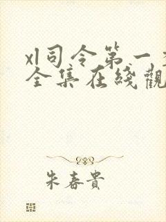 xl司令第一季全集在线观看封面