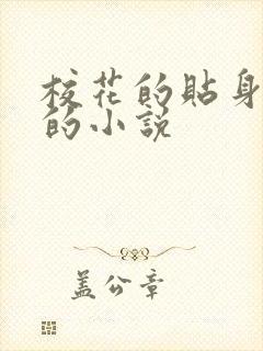 校花的贴身保镖的小说