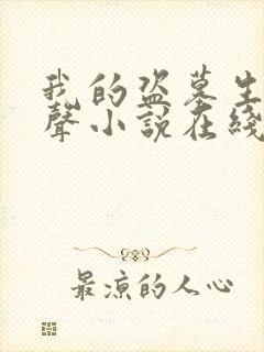 我的盗墓生涯有声小说在线收听