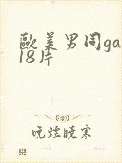 欧美男同gay18片