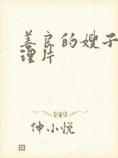 善良的嫂子2伦理片封面