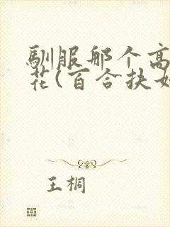 驯服那个高岭之花(百合扶她futa)封面