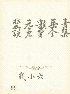 裴元灏岳青婴小说免费全集