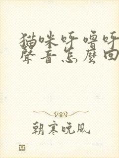 猫咪呼噜呼噜的声音怎么回事