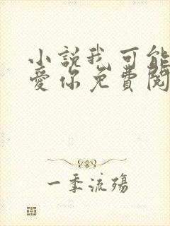 小说我可能不会爱你免费阅读