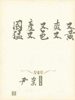 国产又爽又粗又猛又色又黄在线视频封面