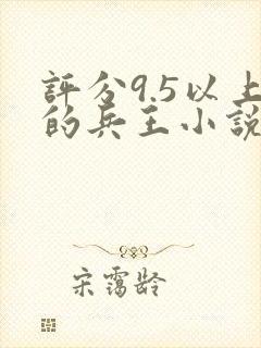 评分9.5以上的兵王小说
