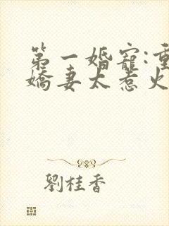 第一婚宠:重生娇妻太惹火 清歌一片封面