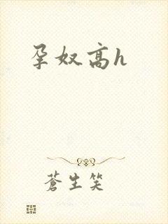 孕奴高h