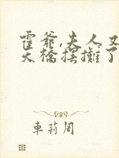 霍爷,夫人又去天桥摆摊了