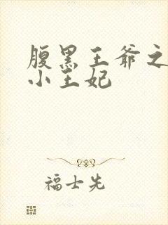 腹黑王爷之穿越小王妃