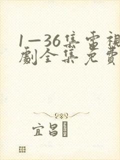 1—36集电视剧全集免费观看封面