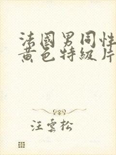 法国男同性恋的黄色特级片