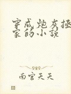 穿成炮灰拯救全家的小说