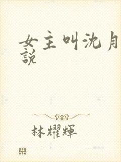 女主叫沈月的小说