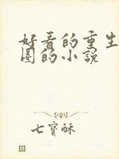 好看的重生娱乐圈的小说封面