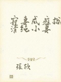 宠妻成瘾总裁的清纯小妻