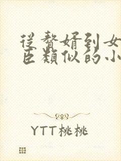 从赘婿到女帝宠臣类似的小说封面