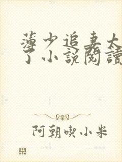 薄少追妻太上头了小说阅读封面